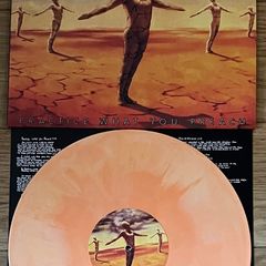Testament Practice What You Preach vinyl