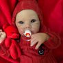 Reborns By Laura.  Introducing Bella Bug 4lb Reborn Doll. Welcome To View Image 5