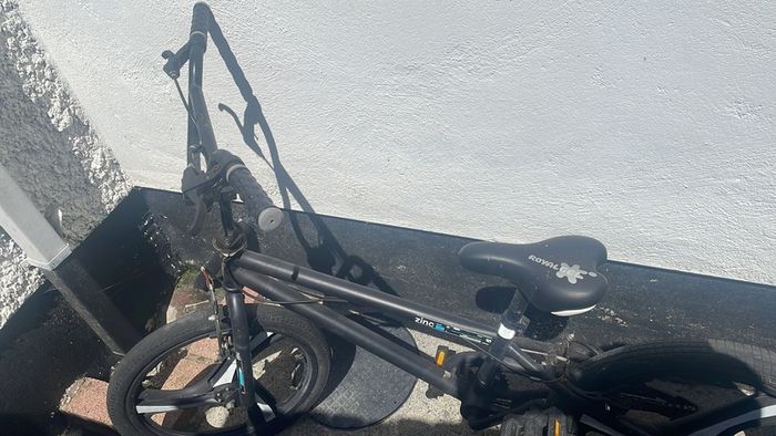 Zinc 20inc Bike