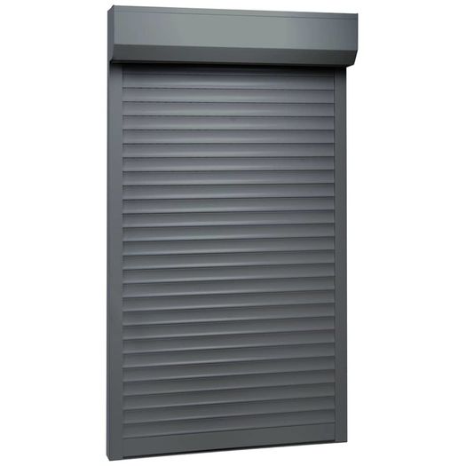 Roller Shutter Aluminium 100x210 cm Anthracite