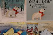 The Polar Bear who Saved Christmas story Book by Fiona Boon