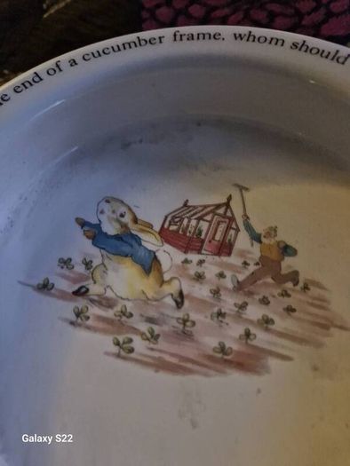 Vintage Wedgewood peter Rabbit nursery bowl