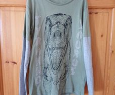 Age 10 Dinosaur Top
