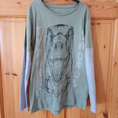 Age 10 Dinosaur Top