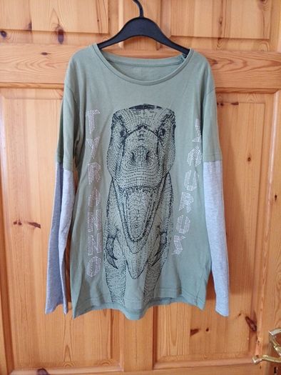 Age 10 Dinosaur Top