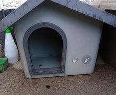 small dog kennel