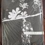 BLOW Photo Magazine  Limited Edition Numbered Photography Collection Image 9