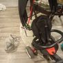 Qplay trike rito Image 6