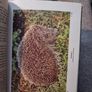 Wild Animals of the British Isles - Maurice Burton Image 2