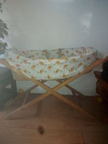 Moses basket