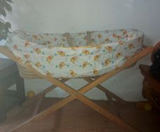 Moses basket