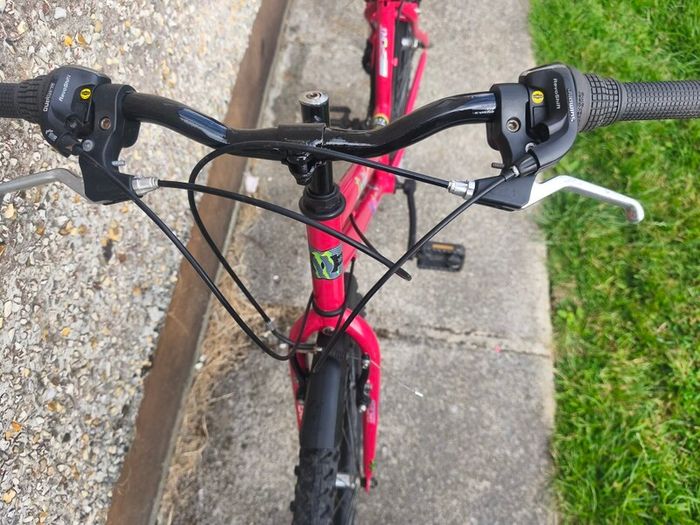 ladies bike