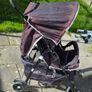 Hauck Sports Pushchair Image 8