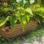 Planters Image 5