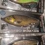 Savage Gear 3D Roach Jerkster 11.5cm & 14.5cm Image 2