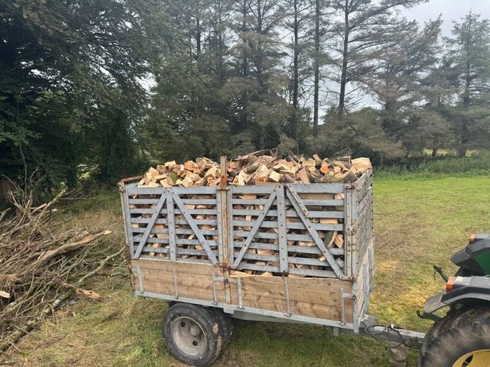 firewood-timber