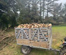 firewood-timber