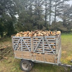 firewood-timber