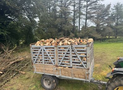 firewood-timber
