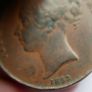 Victoria 1853 Copper Young Head Penny Image 3