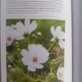 Gardeners World The Flower Book Image 4