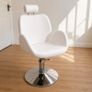 Professional Hydraulic Reclining Beauty / Salon Treatment Chair Image 2
