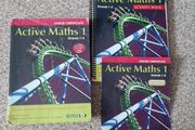 Junior Cert Active Maths 1