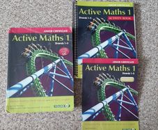 Junior Cert Active Maths 1