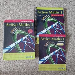 Junior Cert Active Maths 1