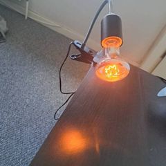 Reptile Heat Lamp