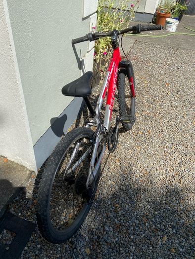 Trek kids mountain bike