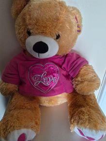 Large soft teddy