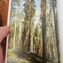 The Alsford Tradition. A Century Of Quality Tomber 1882-1982. By Patrick Beaver. First Edition Hardback With Dustjacket In Very Good Condition.  See Photos For Same. Image 9
