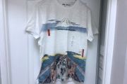 Uniqlo Mount Fuji Teeshirt Size Small