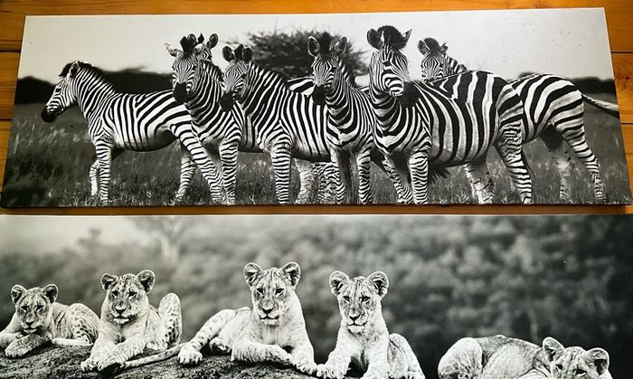 Large Black & White Wall Art Prints. Set of 3