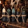 Dead Curios Oddities 24 Piece Advent Calendars Image 6