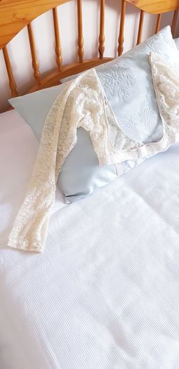 Cream Lace Canopi Sleeves