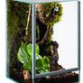 Terrariums Different Sizes Image 3