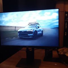 Dell 24" Monitor