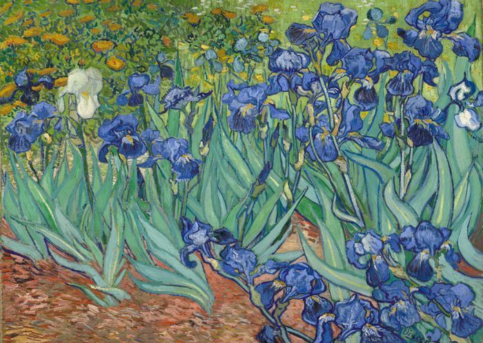 Vincent Van Gogh - Irises - Rare Mini Print/Poster