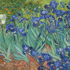 Vincent Van Gogh - Irises - Rare Mini Print/Poster