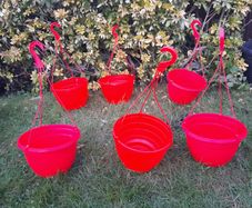 6 x Strawberry tomato hanging planters