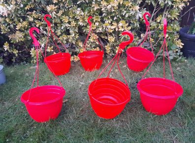 6 x Strawberry tomato hanging planters
