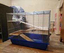 Guinea Pig Cage
