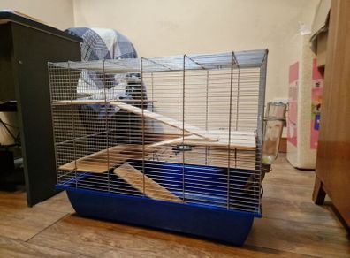 Guinea Pig Cage