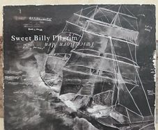 Sweet Billy Pilgrim CD - Twice Born Men