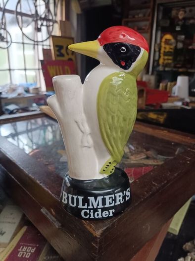 Bulmers wood pecker