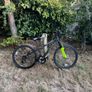 junior mountain bike Image 5