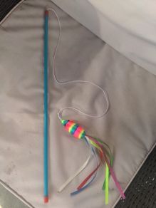 Cat/kitten toy