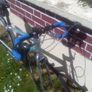 Giant Avail Ladies Racer Image 2